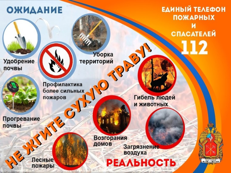 Внимание! Ландшафтные пожары!.